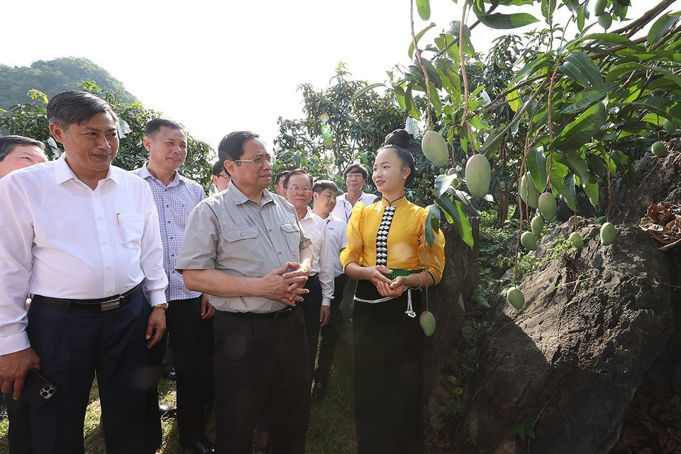 Thủ tướng Phạm Minh Chính thăm vùng sản xuất nông nghiệp tại xã Hát Lót, huyện Mai Sơn (Sơn La). (Ảnh: Dương Giang/TTXVN)