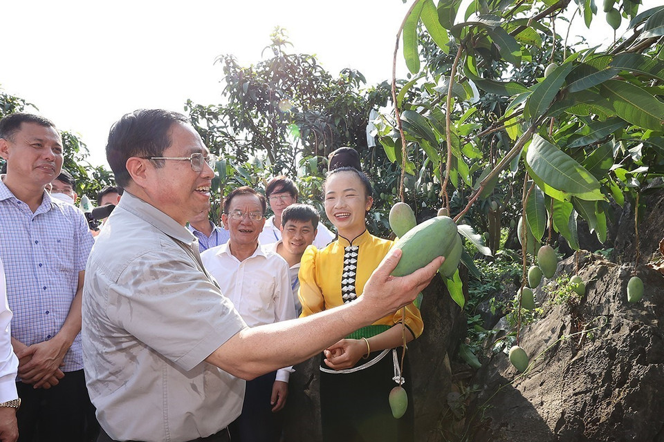 Thủ tướng thăm vùng sản xuất nông nghiệp tại xã Hát Lót, huyện Mai Sơn (Sơn La). (Ảnh: Dương Giang/TTXVN)