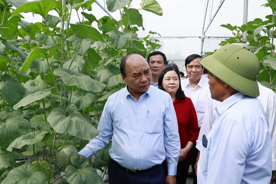 Chủ tịch nước Nguyễn Xuân Phúc thăm mô hình người cao tuổi làm kinh tế giỏi Hợp tác xã Tân Minh Đức. (Ảnh: Thống Nhất/TTXVN)