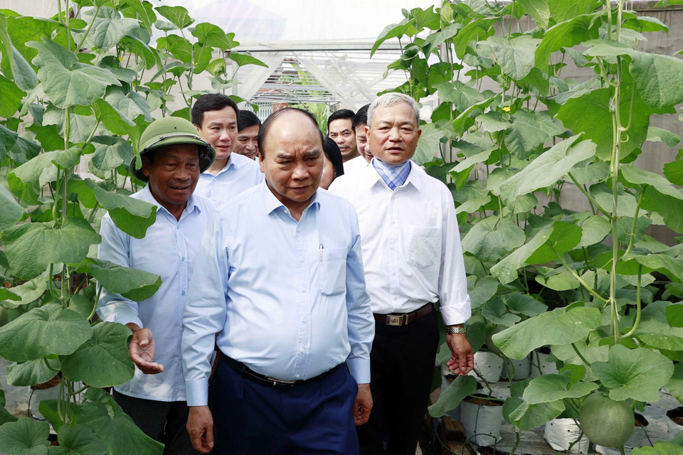 Chủ tịch nước Nguyễn Xuân Phúc thăm mô hình người cao tuổi làm kinh tế giỏi Hợp tác xã Tân Minh Đức. (Ảnh: Thống Nhất/TTXVN)