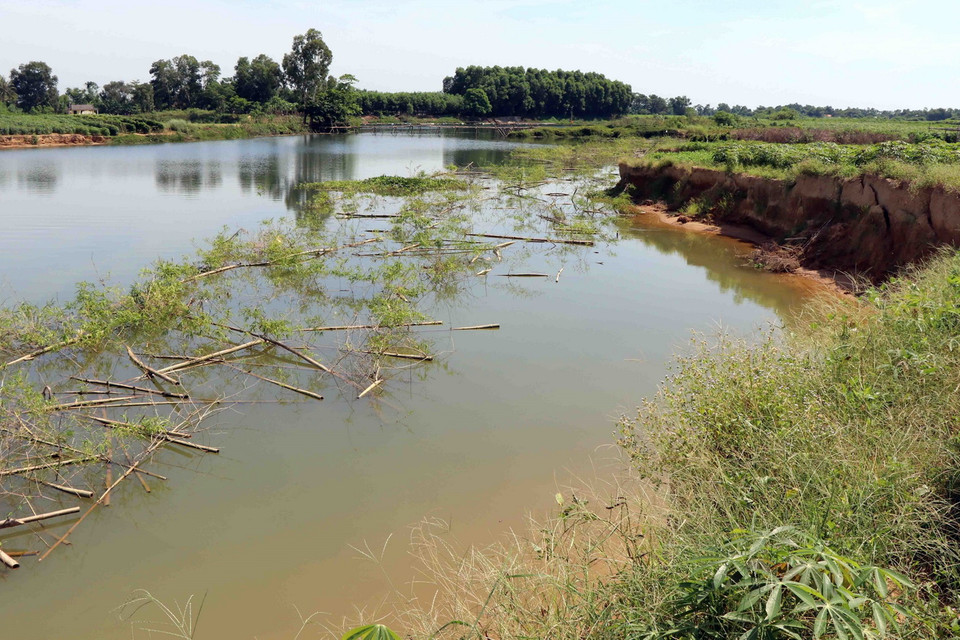 Người dân làm các bãi tre ở dưới lòng sông Bồ để ngăn chặn các tàu hút cát trái phép gây sạt lở. (Ảnh: Đỗ Trưởng/TTXVN)