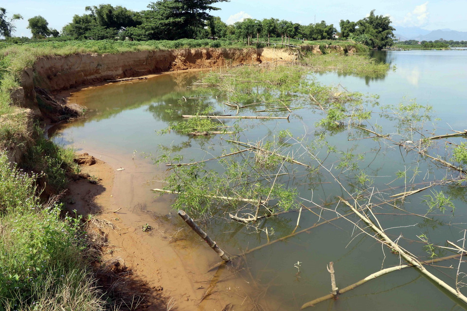  Tình trạng sạt lở trên sông Bồ đoạn qua khu vực Cồn Nổi do nạn “cát tặc” làm mất hàng chục ha đất sản xuất của người dân. (Ảnh: Đỗ Trưởng/TTXVN)