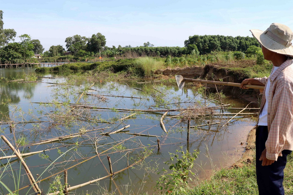  Người dân làm các bãi tre ở dưới lòng sông Bồ để ngăn chặn các tàu hút cát trái phép gây sạt lở. (Ảnh: Đỗ Trưởng/TTXVN)