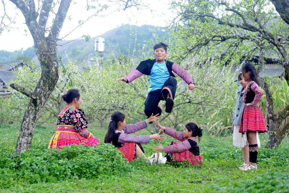 Các em nhỏ dân tộc Mông ở bản Tà Phềnh, xã Tân Lập, huyện Mộc Châu, vui chơi tại vườn mận của gia đình. (Ảnh: Quang Quyết/TTXVN)