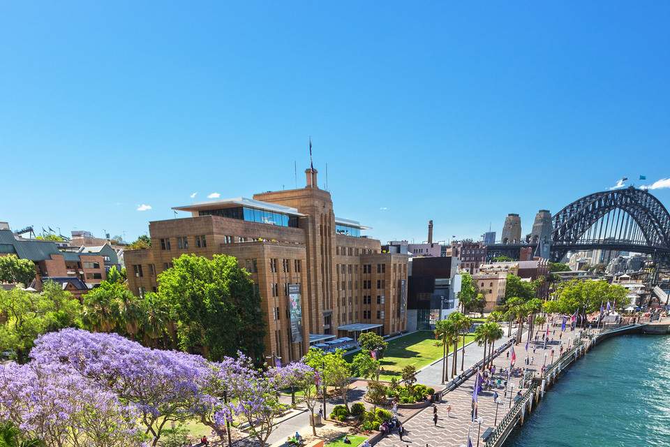 Hoa nở quanh khu vực Circular Quay, Sydney. (Nguồn: Destination NSW)
