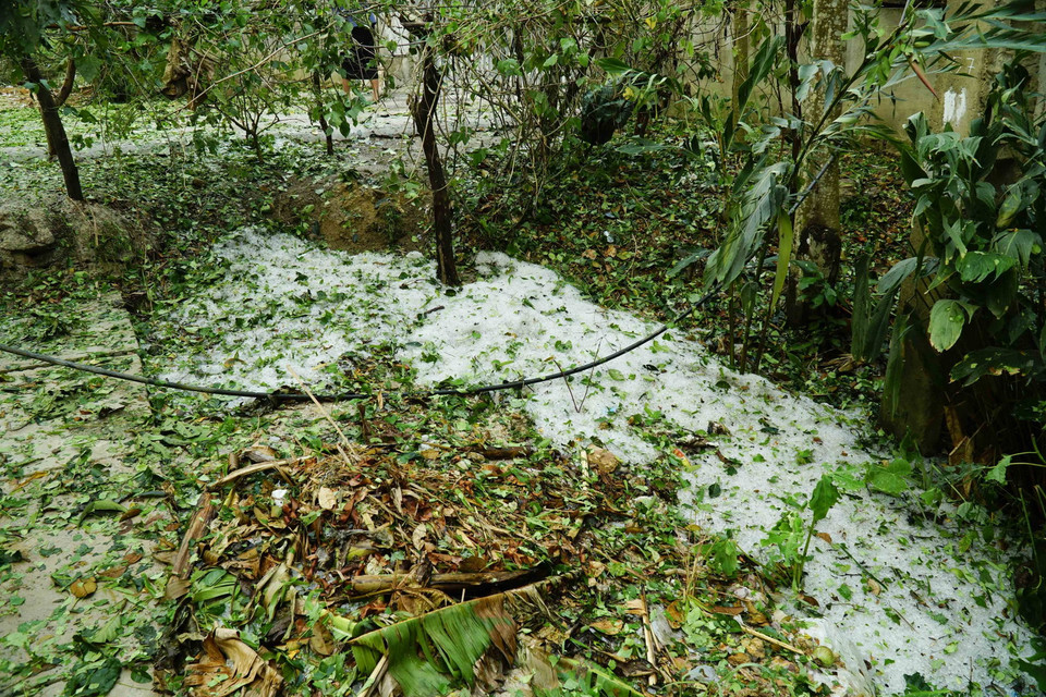 Mưa đá tại xã Hua Thanh, huyện Điện Biên. (Ảnh: Xuân Tư/TTXVN)