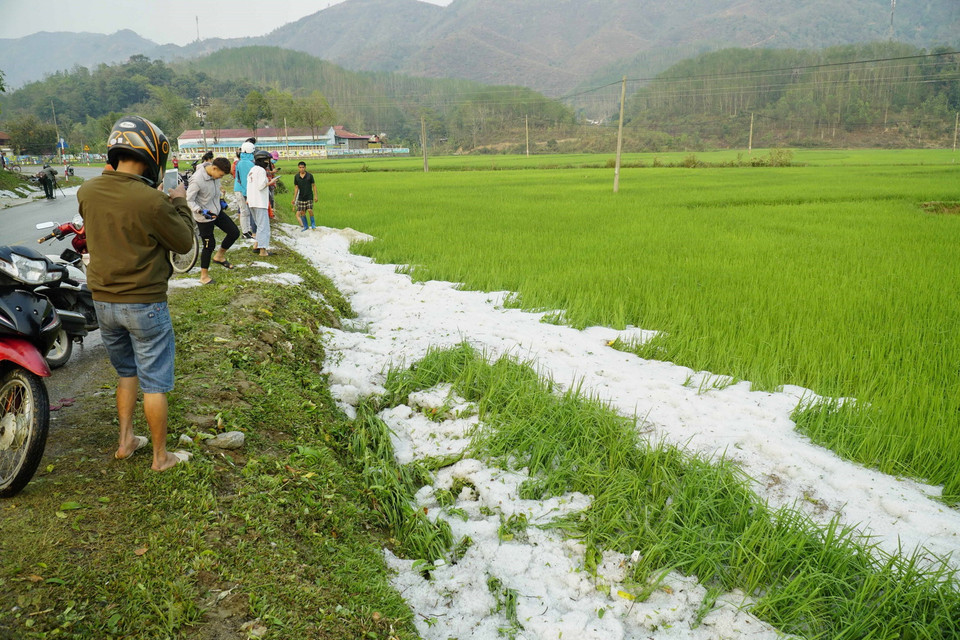 Mưa đá tại xã Hua Thanh, huyện Điện Biên. (Ảnh: Xuân Tư/TTXVN)