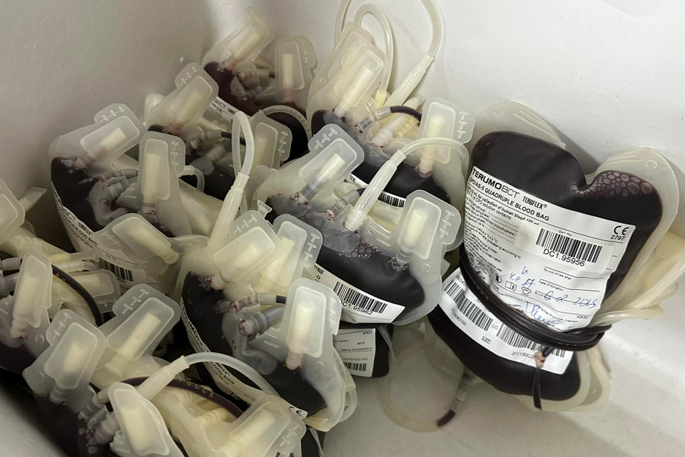 (Ảnh: PV/Vietnam+)