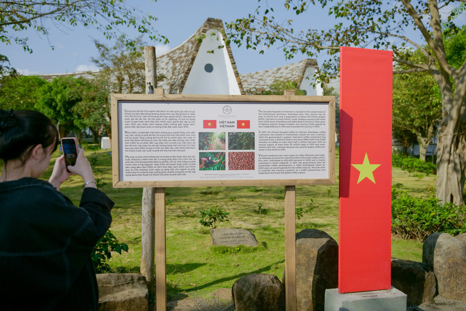 Du khách tìm hiểu nội dung ‘vành đai Càphê’ của triễn lãm chuyên đề ‘Lịch sử Càphê thế giới.’ (Ảnh: Vietnam+)