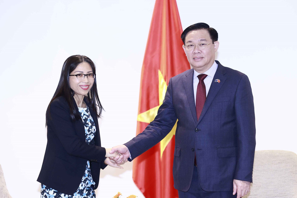 Chủ tịch Quốc hội Vương Đình Huệ tiếp đại diện tổ chức kết nối mạng lưới tri thức Việt Nam hoạt động trong lĩnh vực công nghệ và thông tin tại New Zealand (VietTech New Zealand).(Ảnh: Doãn Tấn/TTXVN)