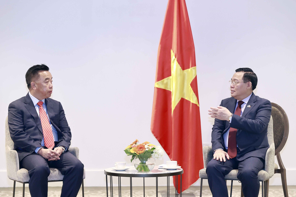 Chủ tịch Quốc hội Vương Đình Huệ tiếp ông Don Hà, Giám đốc điều hành Công ty Remax New Zealand. (Ảnh: Doãn Tấn/TTXVN)