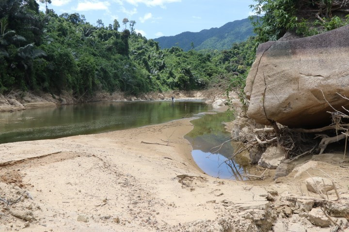 Khu vực bãi bồi sẽ tìm kiếm. (Ảnh: Đỗ Trưởng/TTXVN)