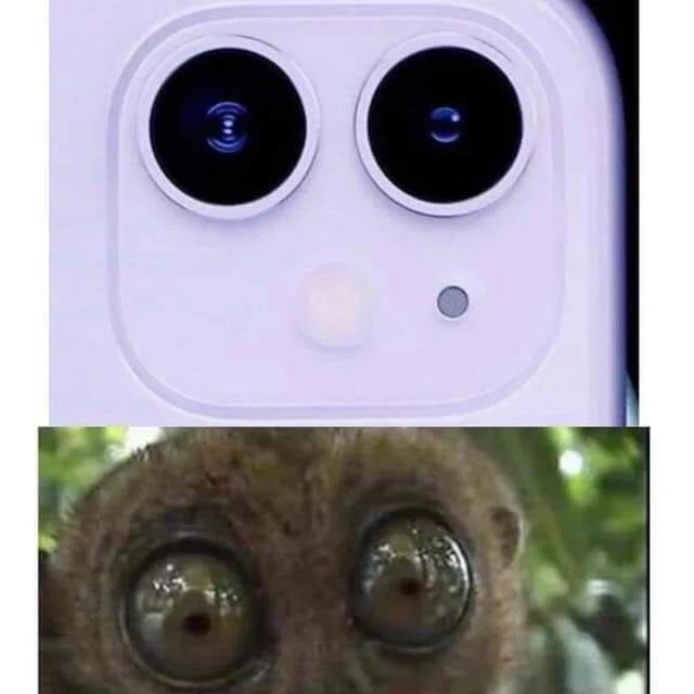 Cụm camera mới trên iPhone được ví như đôi mắt của loài khỉ lùn Tarsier. (Ảnh: Facebook)