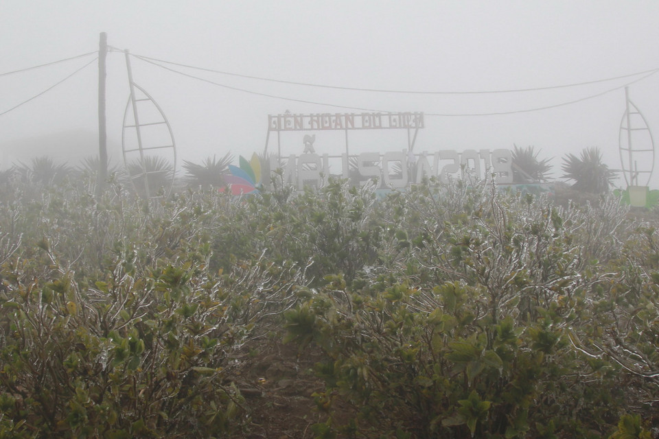 Khu du lịch Mẫu Sơn, Lạng Sơn chìm trong băng giá. (Ảnh: Quang Duy/TTXVN)