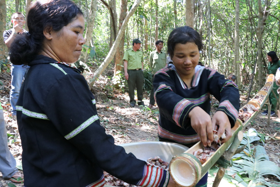 Thức ăn nướng xong được đựng trong ống lồ ô khoét rãnh, mang đậm nét văn hóa người bản địa. (Ảnh: Hồng Điệp/TTXVN)