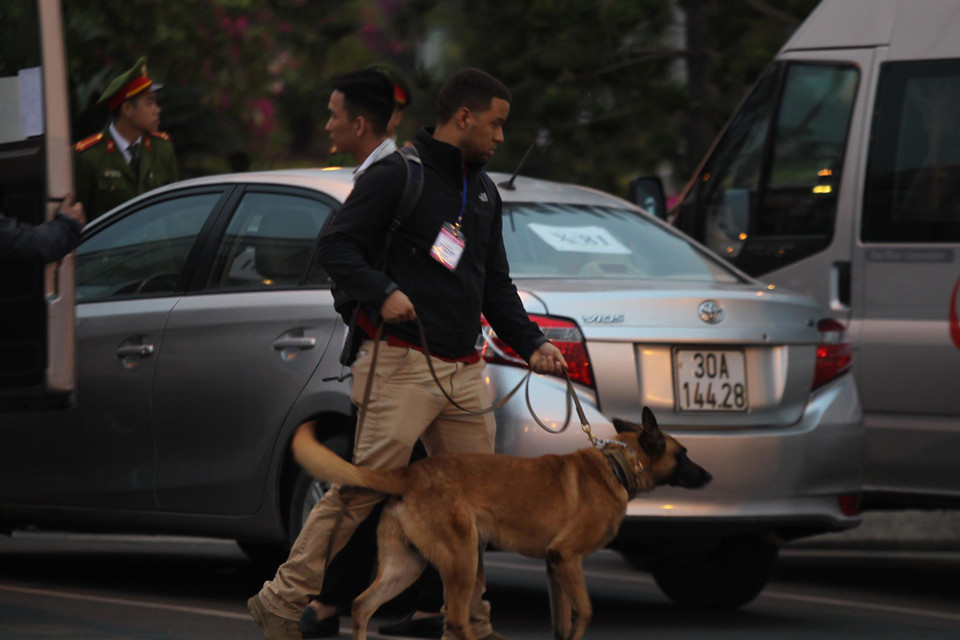 Và cả chó nghiệp vụ sẵn sàng làm nhiệm vụ. (Ảnh: PV/Vietnam+)