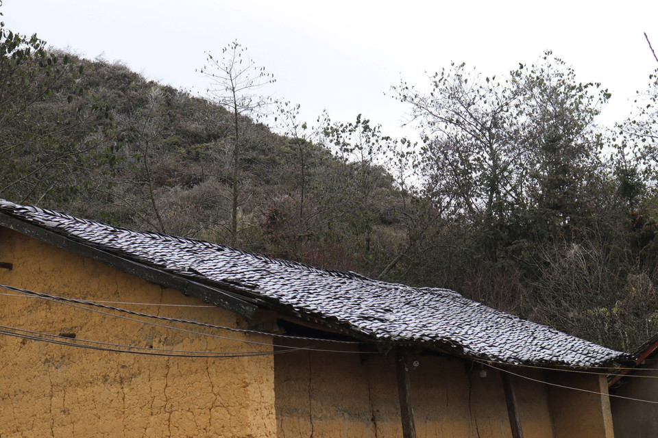 (Ảnh: Minh Đức/TTXVN phát)