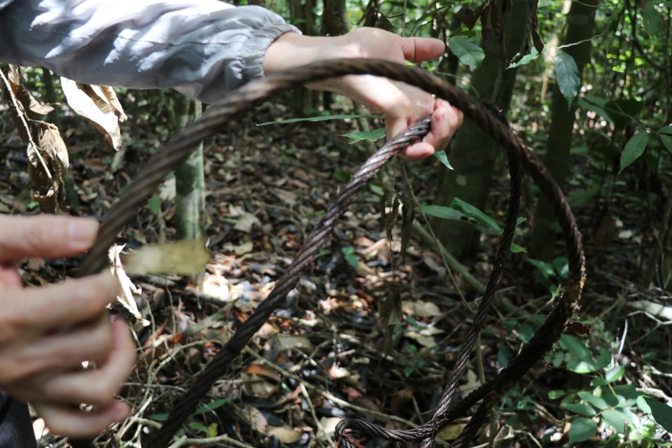 Đoạn dây cáp dùng để tời gỗ còn lại tại hiện trường. (Ảnh: Phạm Cường/TTXVN)