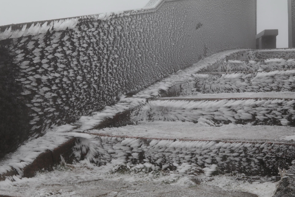 Băng tuyết phủ bám đầy mặt các ông trình trên Mẫu Sơn. (Ảnh: Quang Duy/TTXVN)