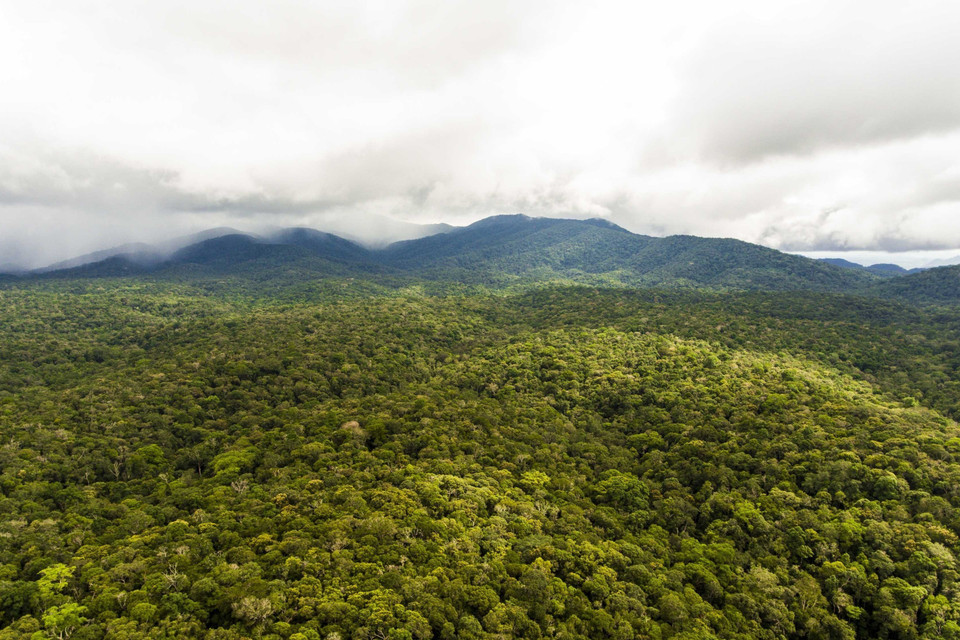 Khu bảo tồn thiên nhiên Nam Nung, nằm trải dài 7 xã thuộc 3 huyện của tỉnh Đắk Nông là Đắk G’long, Đắk Song, và Krông Nô. (Ảnh: TTXVN phát)