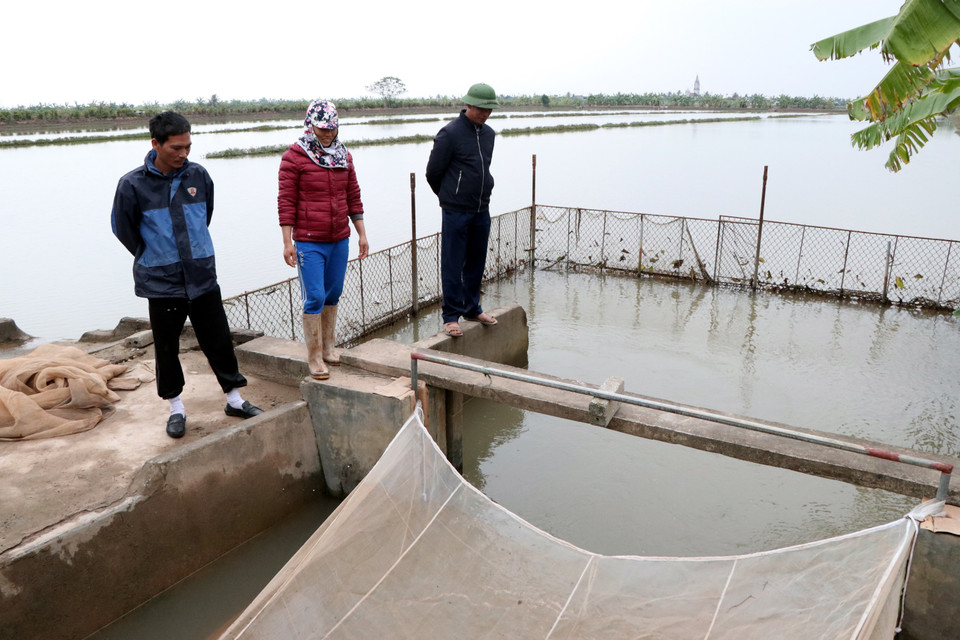 Người dân khoanh vùng, làm cống để dẫn nước thủy triều vào ruộng, để thuận lợi cho việc khai thác rươi. (Ảnh: Mạnh Tú/TTXVN)