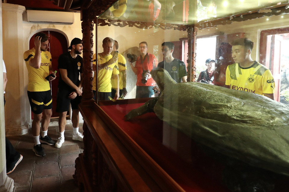 (Ảnh: CTV/Vietnam+) 