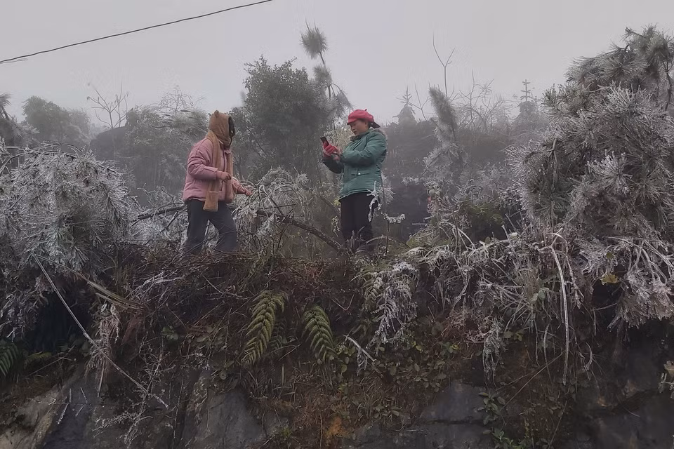 Du khách thích thú chụp ảnh trước hiện tượng đóng băng hiếm gặp. (Ảnh: Nguyễn Chiến/TTXVN)
