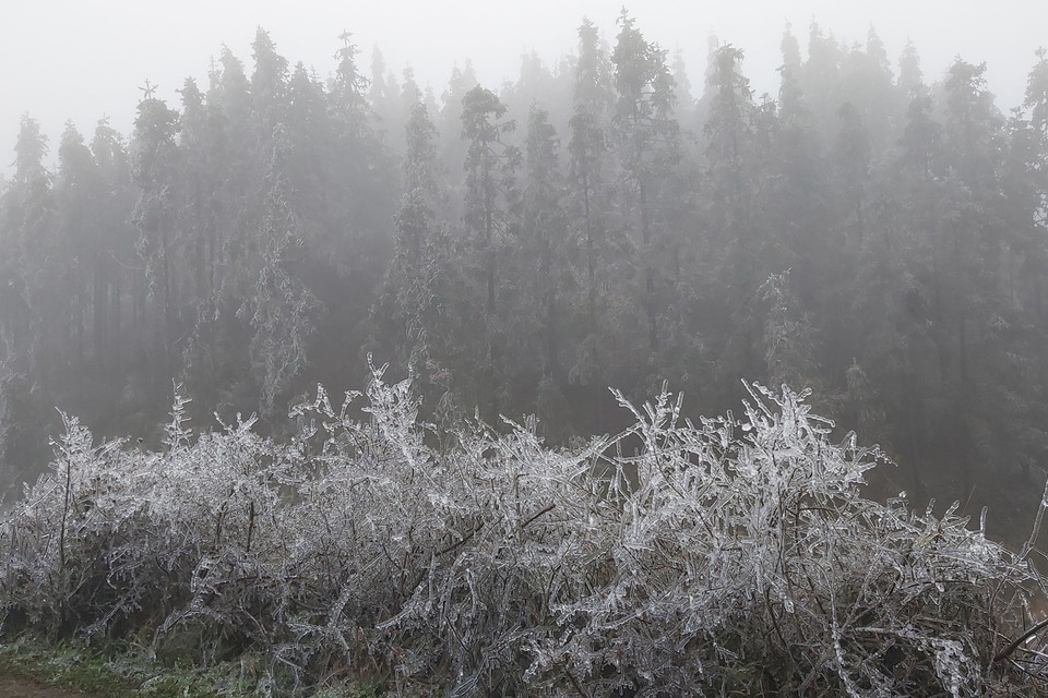 Hiện tượng đóng băng và sương mù dày đặc xuất hiện tại xã Xín Cái, huyện Mèo Vạc, tỉnh Hà Giang. (Ảnh: Nguyễn Chiến/TTXVN)
