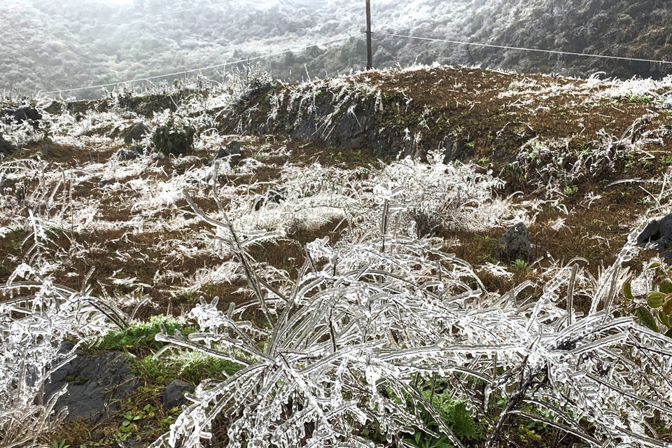 Băng giá phủ kín trên diện rộng ở Cao nguyên đá Đồng Văn. (Ảnh: TTXVN)