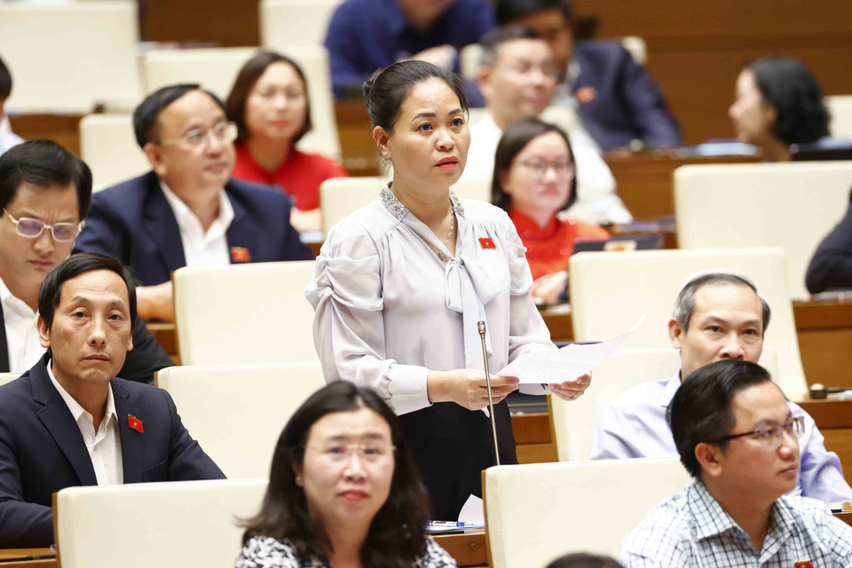 Đại biểu Quốc hội tỉnh Thái Bình Nguyễn Thị Thu Dung đặt câu hỏi chất vấn. (Ảnh: Doãn Tấn/TTXVN)