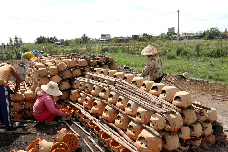Gốm được tập trung lại khu vực đất trống và xếp xen kẽ với giữa củi trước khi nung. (Ảnh: Nguyễn Thanh/TTXVN)
