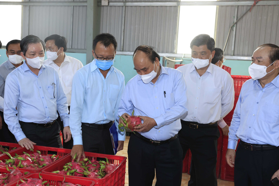 Sáng 6/4, Chủ tịch nước Nguyễn Xuân Phúc đến thăm, động viên một số mô hình hợp tác xã tiêu biểu của tỉnh Tiền Giang. (Ảnh: Thống Nhất/TTXVN)