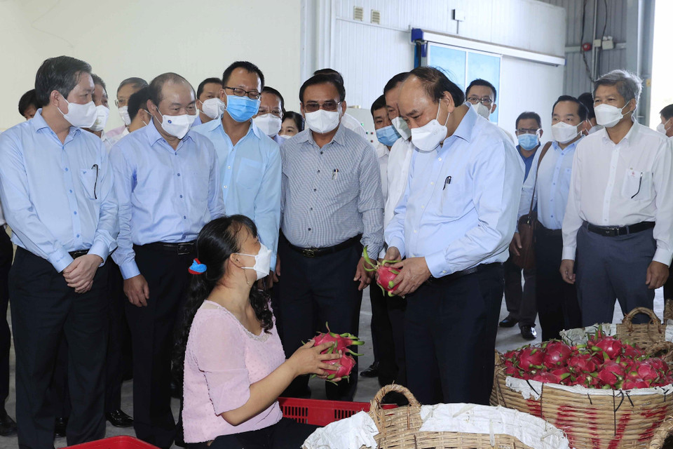 Chủ tịch nước Nguyễn Xuân Phúc trò chuyện với nhân viên Hợp tác xã Mỹ Tịnh An, huyện Chợ Gạo. (Ảnh: Thống Nhất/TTXVN)