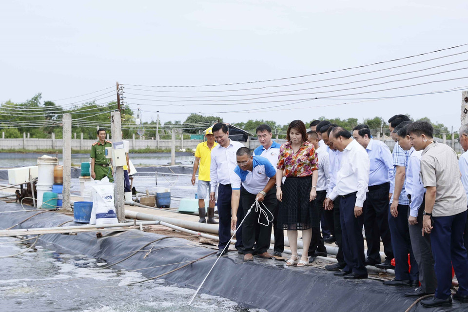 Sáng 1/7, Chủ tịch nước Nguyễn Xuân Phúc tới thăm mô hình nuôi tôm công nghệ cao-bền vững Bảy An 3 tại Trang trại CPF -combine, khu 3,2ha của Công ty Cổ phần chăn nuôi CP Việt Nam tại ấp Thạnh Thơi B, xã Thạnh Hải, huyện Thạnh Phú, tỉnh Bến Tre. (Ảnh: Thống Nhất/TTXVN)