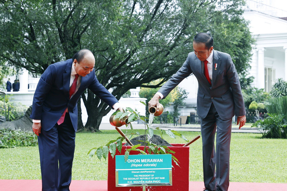 Chủ tịch nước Nguyễn Xuân Phúc và Tổng thống nước Cộng hòa Indonesia Joko Widodo trồng cây lưu niệm. (Ảnh: Thống Nhất/TTXVN)