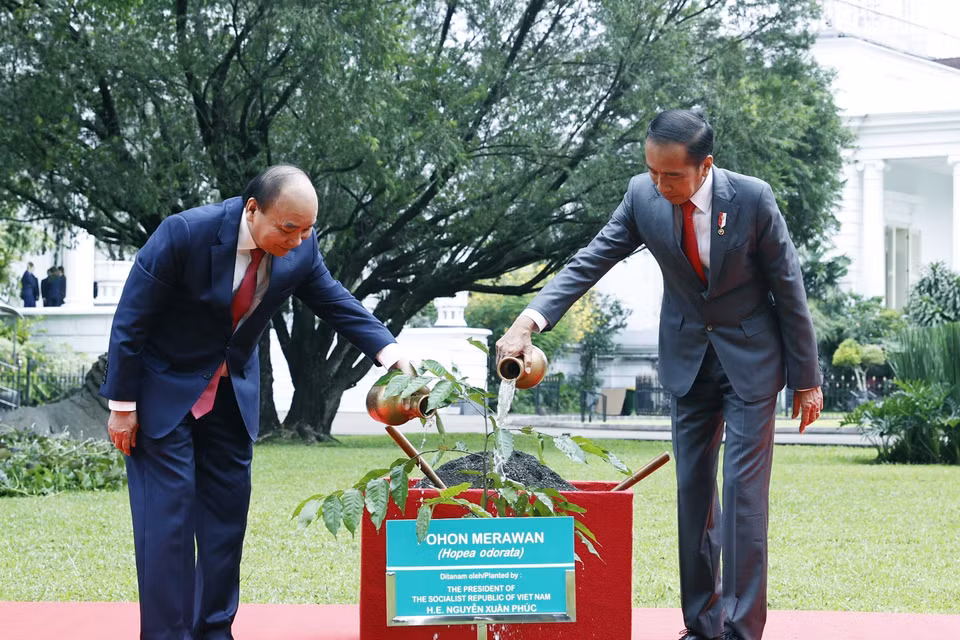 Chủ tịch nước Nguyễn Xuân Phúc và Tổng thống nước Cộng hòa Indonesia Joko Widodo trồng cây lưu niệm. (Ảnh: Thống Nhất/TTXVN)
