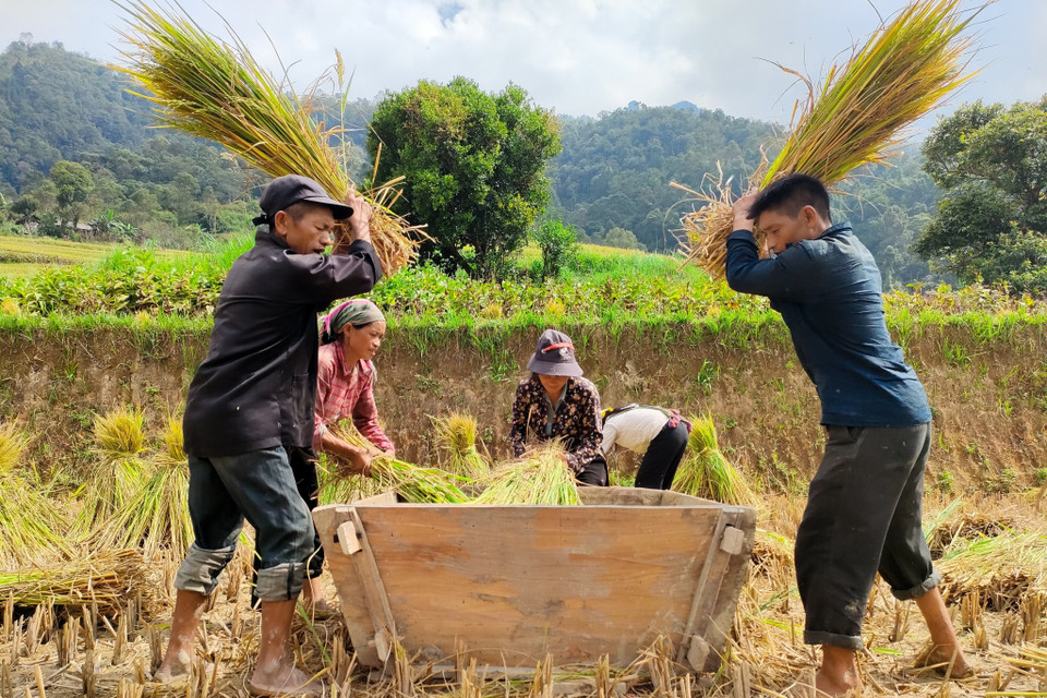 Bao đời nay, người Cờ Lao đỏ đã sinh sống ở những bản làng bên sườn dãy Tây Côn Lĩnh (Hà Giang). Hiện nay, người Cờ Lao đỏ tại đây có khoảng hơn 1.000 người với 202 hộ, sinh sống tập trung ở một số thôn của xã Túng Sán, huyện Hoàng Su Phì. (Ảnh: Nam Thái/TTXVN)