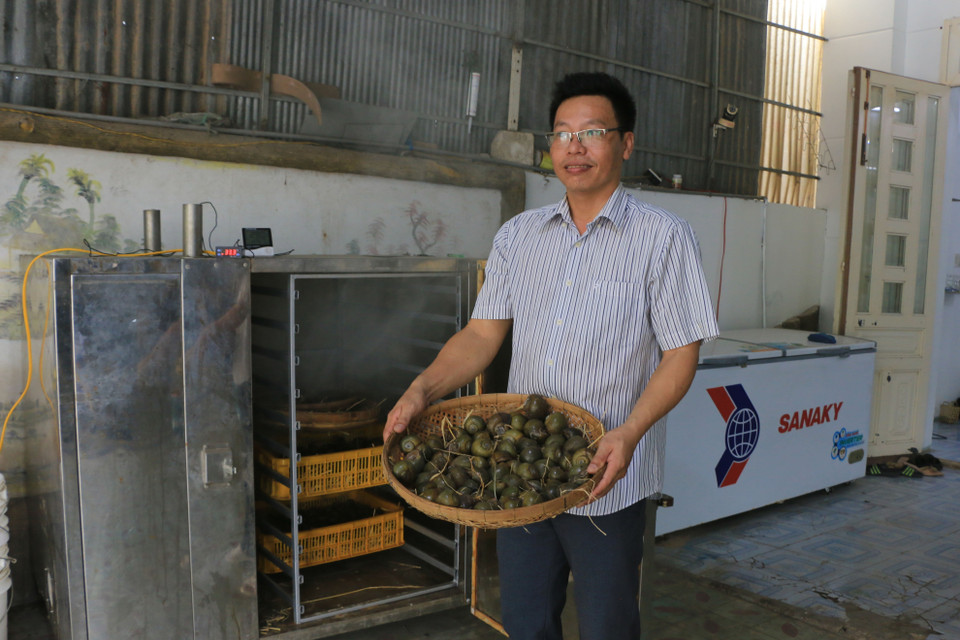 Ốc gác bếp được xông khói, giữ hương vị đặc trưng của món ốc gác bếp truyền thống. (Ảnh: Nhựt An/TTXVN)