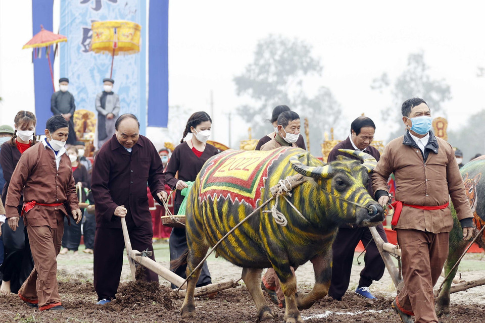 Chủ tịch nước Nguyễn Xuân Phúc xuống đồng cày ruộng đầu năm mới. (Ảnh: Thống Nhất/TTXVN)
