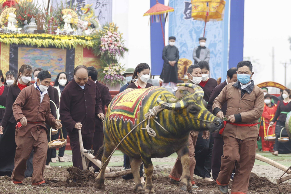 Hình ảnh Chủ tịch nước Nguyễn Xuân Phúc xuống đồng cày ruộng đầu năm mới.(Ảnh: Thống Nhất/TTXVN)