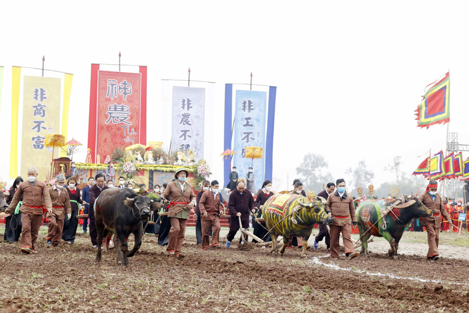 Chủ tịch nước Nguyễn Xuân Phúc xuống đồng cày ruộng đầu năm mới. (Ảnh: Thống Nhất/TTXVN)