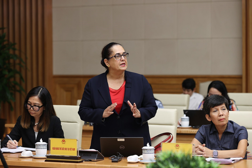 Đại diện Ngân hàng Thế giới (WB) tại Việt Nam phát biểu. (Ảnh: Dương Giang/TTXVN)