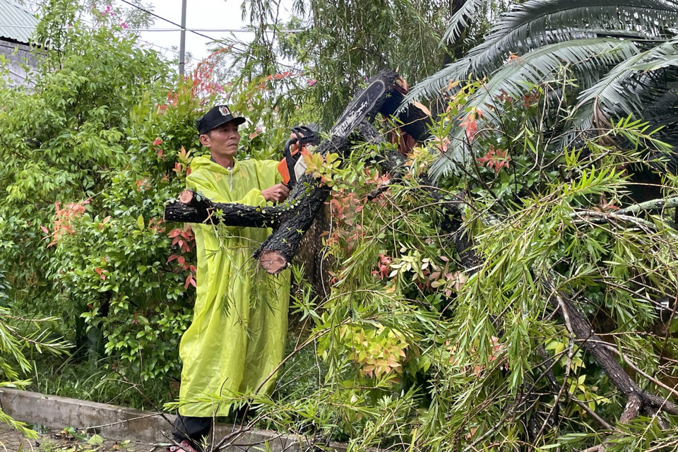 Lực lượng chức năng thu dọn cây cối ngã đổ trên đường. (Ảnh: Trần Tĩnh/TTXVN)