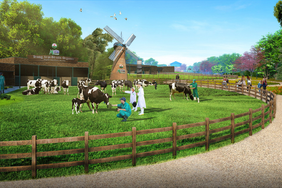 Tổ hợp gồm 2 dự án thành phần: Dự án Trang trại bò sữa công nghệ cao kết hợp du lịch sinh thái và dự án Nhà máy sữa công nghệ cao Mộc Châu Milk. 