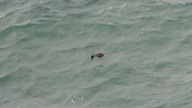 Vật thể trôi nổi nghi là của máy bay QZ8501 mất tích. (Nguồn: AFP)