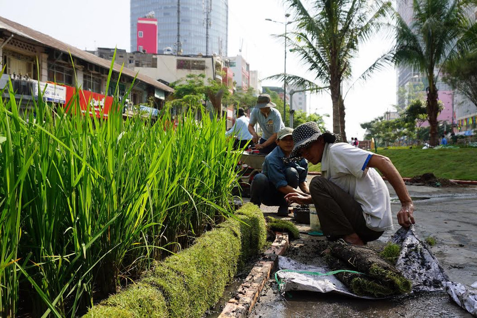(Ảnh: Văn Đạt/Vietnam+)