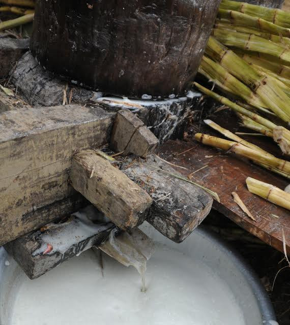  Nước mía chảy ra giữa khe hai trụ chính. (Ảnh: Nguyễn Công Hải/Vietnam+)