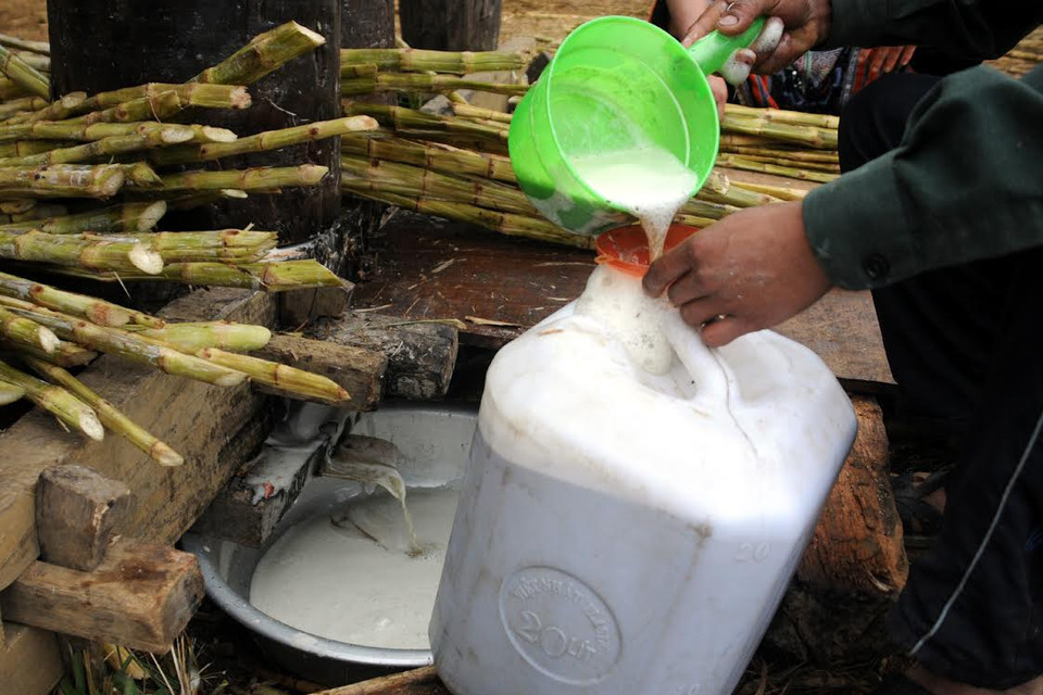 Nước mía được đổ vào can đưa về nhà nấu. (Ảnh: Nguyễn Công Hải/Vietnam+)