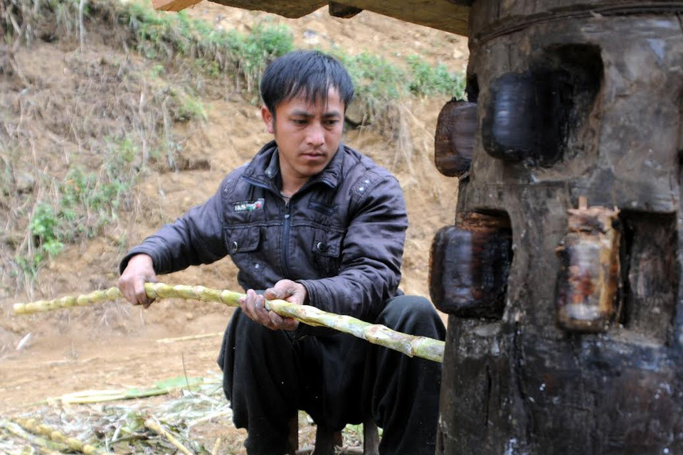 Khâu ép mía quan trọng nhất là “đầu vào.” (Ảnh: Nguyễn Công Hải/Vietnam+)