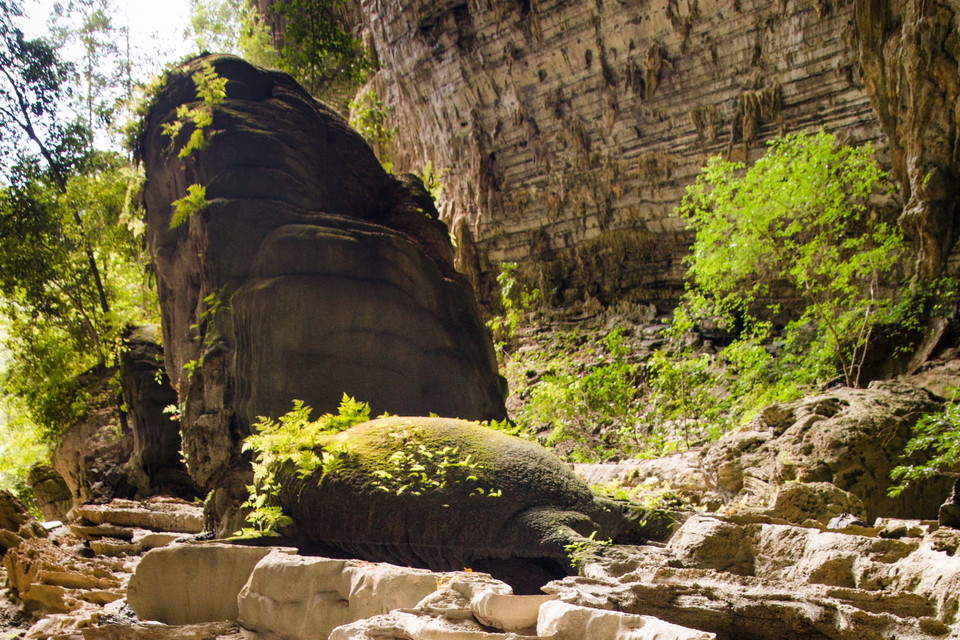 Lối vào hang Tiên 1. (Nguồn: Oxalis Adventures-Ryan Deboodt/Vietnam+) 